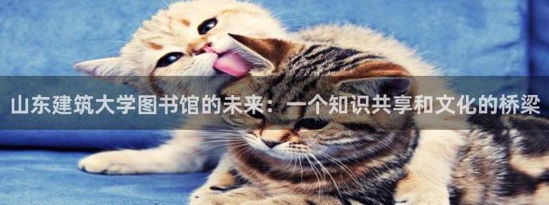 清远顺盈娱乐有限公司