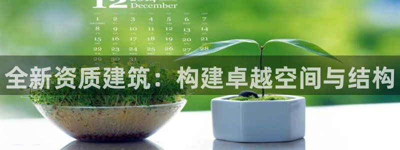 顺盈娱乐铜333OO