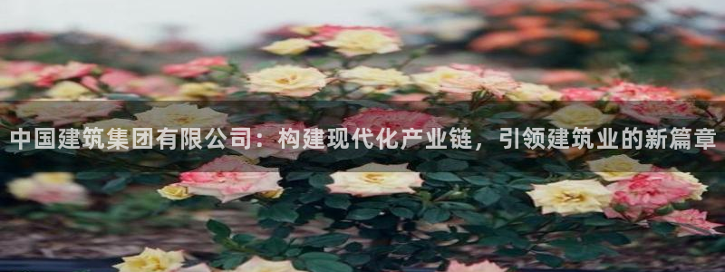 清远顺盈娱乐