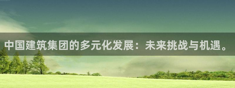 顺盈娱乐975949：中国建筑集团的多元化发展：未来挑战与机遇。