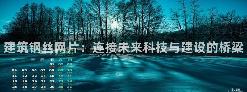 清远顺盈娱乐公司实习：建筑钢丝网片：连接未来科技与建设的桥梁