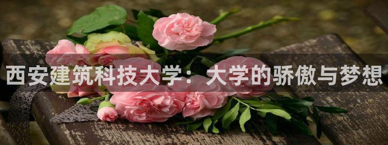 顺盈娱乐在线教育