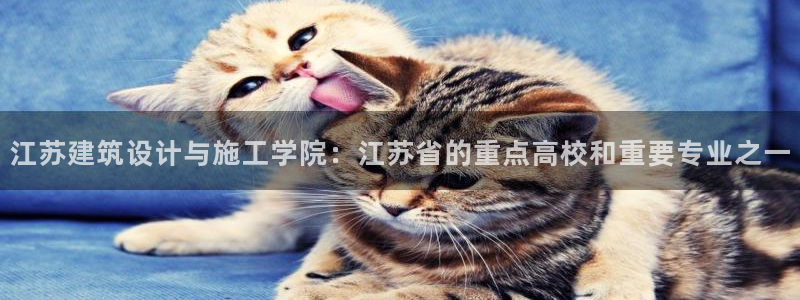 顺盈娱乐官网：江苏建筑设计与施工学院：江苏省的重点高校和重要专业之一