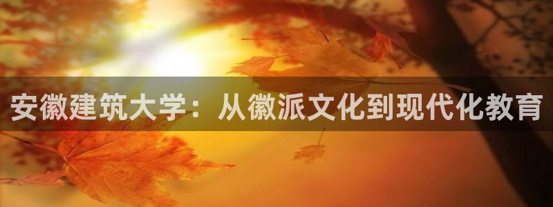 清远顺盈娱乐集团工作：安徽建筑大学：从徽派文化到现代化教育