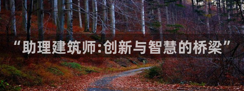 顺盈娱乐棋牌：“助理建筑师:创新与智慧的桥梁”