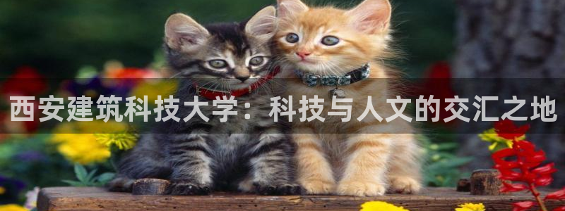盈顺棋牌娱乐室地址查询