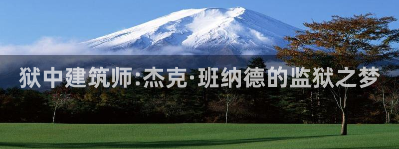 顺盈娱乐招商低判官333OO