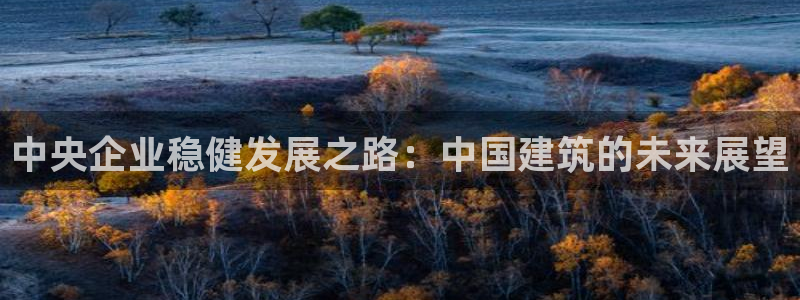 顺盈娱乐代理怎么样了