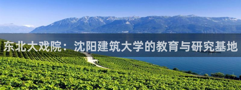 顺盈娱乐下载手机版官网
