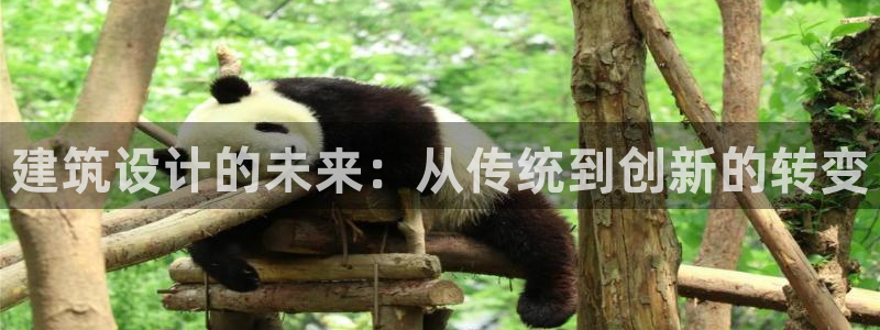 顺盈娱乐主管杂判官333OO