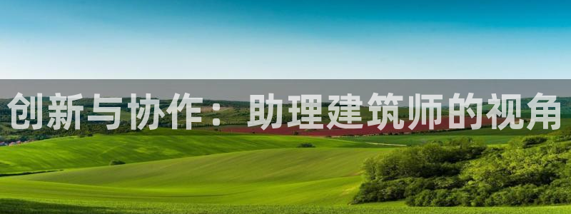 盈顺休闲娱乐室团购：创新与协作：助理建筑师的视角