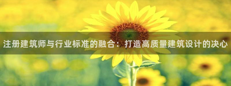 盈顺棋牌娱乐室怎么样：注册建筑师与行业标准的融合：打造高质量建筑设计的决心