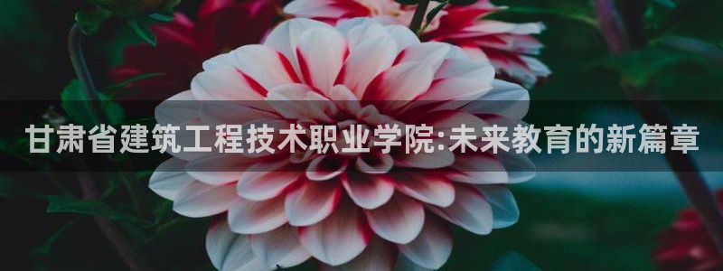 顺盈娱乐注册：甘肃省建筑工程技术职业学院:未来教育的新篇章