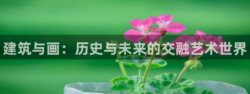 盈顺休闲娱乐室优惠团购：建筑与画：历史与未来的交融艺术世界