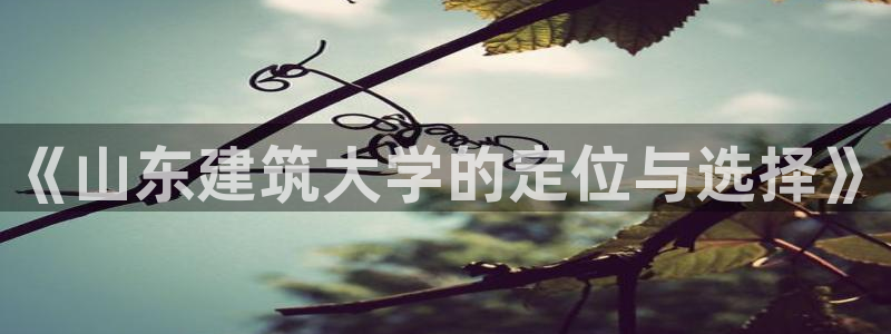盈顺休闲娱乐室怎么样：《山东建筑大学的定位与选择》