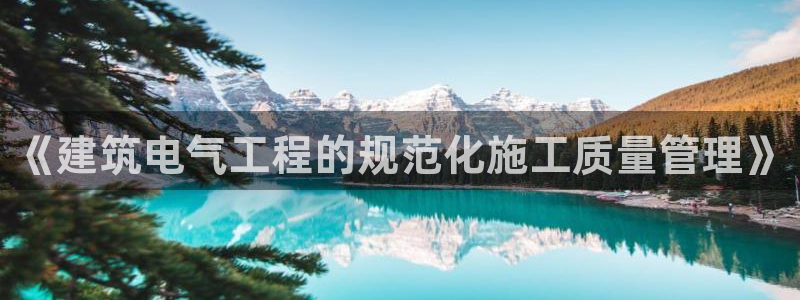 顺盈娱乐平台登录不了：《建筑电气工程的规范化施工质量管理》