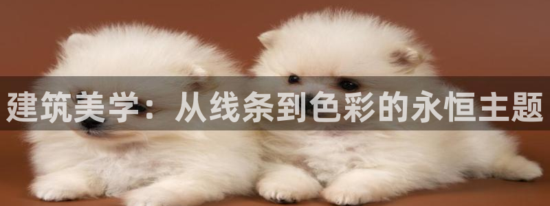 顺盈娱乐语7O777：建筑美学：从线条到色彩的永恒主题
