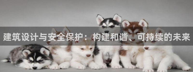 清远顺盈娱乐城
