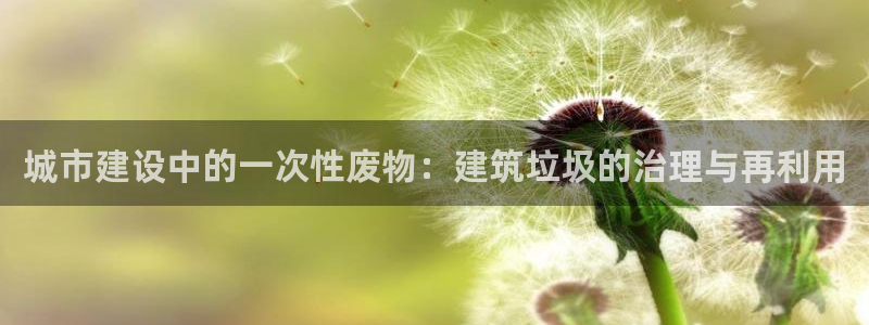 清远顺盈娱乐怎么样啊