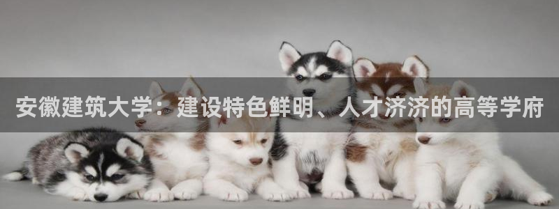 顺盈娱乐过拔7276O
