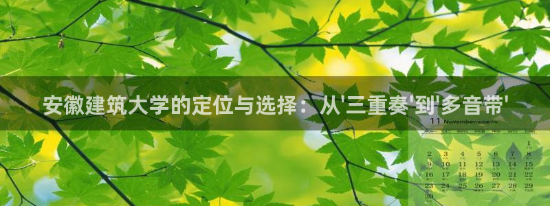 顺盈娱乐主管是谁：安徽建筑大学的定位与选择：从\'三重奏\'到\'多音带\'