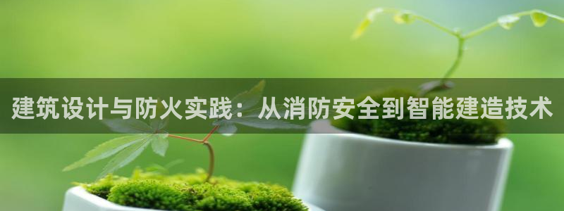顺盈娱乐注册平台：建筑设计与防火实践：从消防安全到智能建造技术