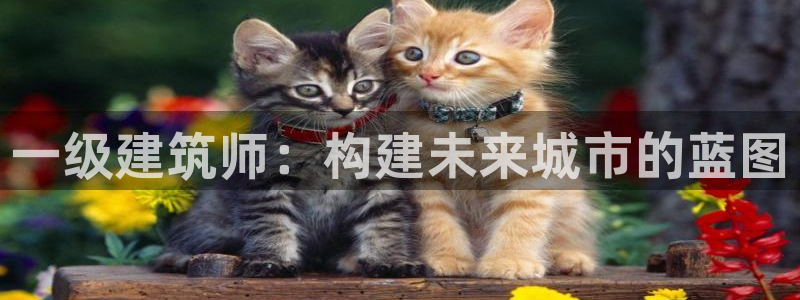 顺盈娱乐主管：一级建筑师：构建未来城市的蓝图