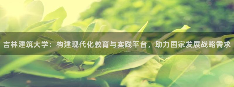 盈顺棋牌娱乐室地址电话：吉林建筑大学：构建现代化教育与实践平台，助力国家发展战略需求