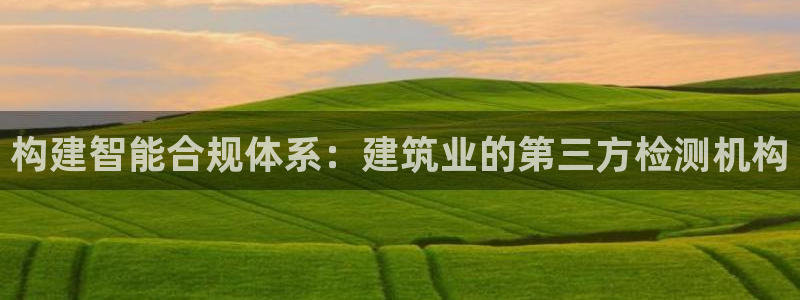 顺盈娱乐场究7276O：构建智能合规体系：建筑业的第三方检测机构