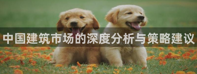 顺盈娱乐官网首页：中国建筑市场的深度分析与策略建议
