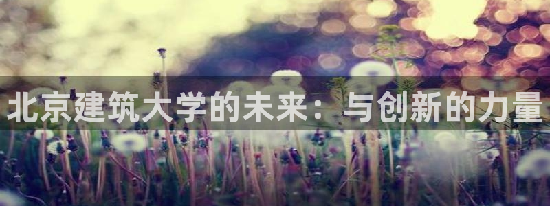 顺盈娱乐彩票官网查询：北京建筑大学的未来：与创新的力量