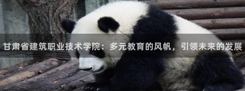 顺盈2娱乐主管：甘肃省建筑职业技术学院：多元教育的风帆，引领未来的发展