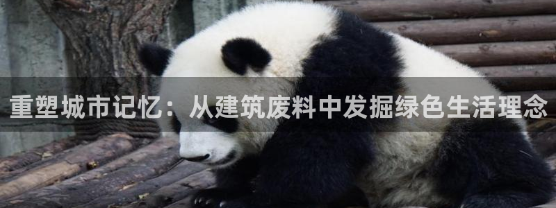 顺盈娱乐322901：重塑城市记忆：从建筑废料中发掘绿色生活理念