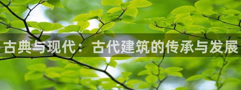 清远顺盈娱乐公司招聘吗