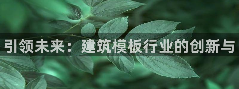 清远顺盈娱乐酒店电话：引领未来：建筑模板行业的创新与