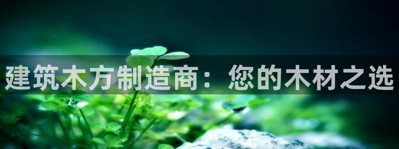 顺盈娱乐官网首页：建筑木方制造商：您的木材之选