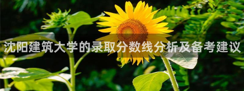 顺盈娱乐各究7276O