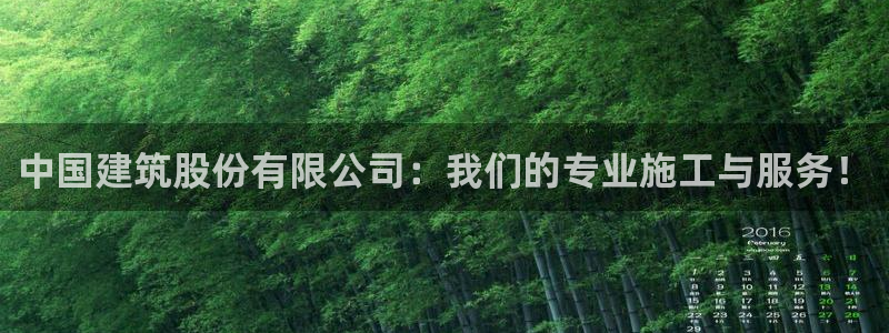 顺盈娱乐官网下载：中国建筑股份有限公司：我们的专业施工与服务！