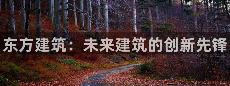 盈顺休闲娱乐室优惠活动：东方建筑：未来建筑的创新先锋