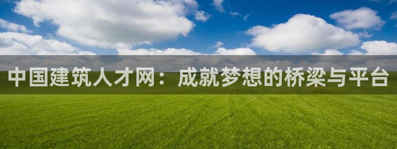 盈顺休闲娱乐室：中国建筑人才网：成就梦想的桥梁与平台