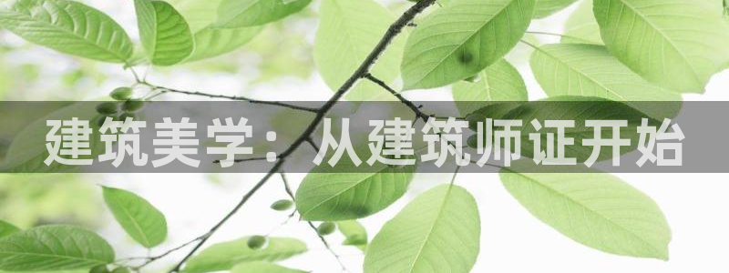 顺盈娱乐下载安装官方：建筑美学：从建筑师证开始