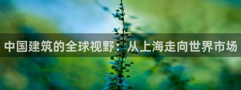 顺盈娱乐322901：中国建筑的全球视野：从上海走向世界市场