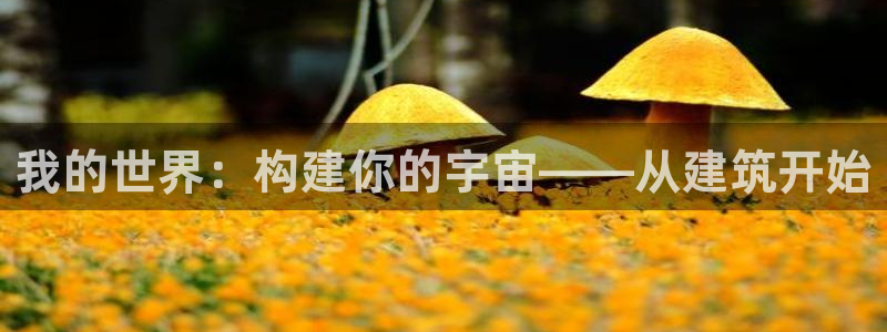 顺盈娱乐注册官网：我的世界：构建你的宇宙——从建筑开始