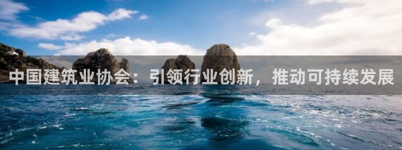 清远顺盈娱乐公司工作：中国建筑业协会：引领行业创新，推动可持续发展