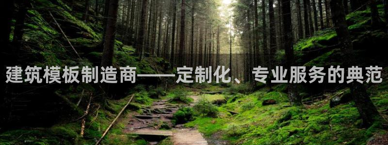 顺盈娱乐招商天原判官333OO：建筑模板制造商——定制化、专业服务的典范