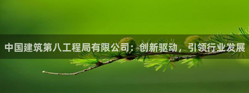 清远顺盈娱乐集团：中国建筑第八工程局有限公司：创新驱动，引领行业发展