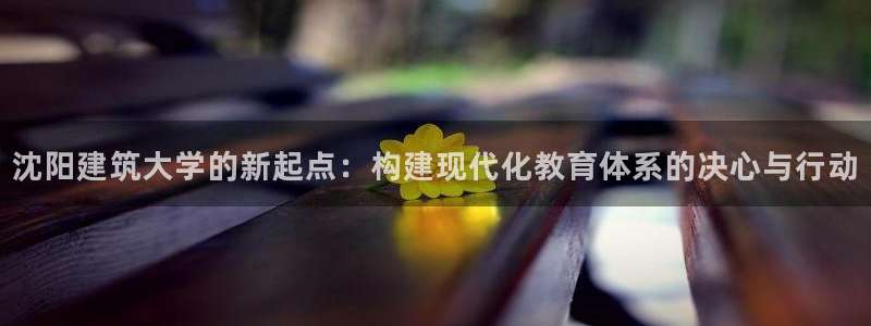 顺盈娱乐那家公司旗下：沈阳建筑大学的新起点：构建现代化教育体系的决心与行动