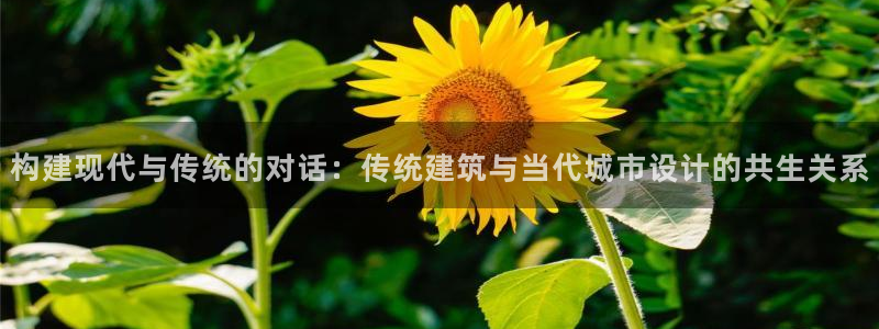 顺盈娱乐注册官网：构建现代与传统的对话：传统建筑与当代城市设计的共生关系