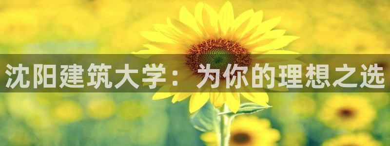 顺盈娱乐下载手机版官网：沈阳建筑大学：为你的理想之选