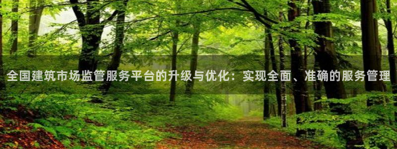 顺盈娱乐下载手机版：全国建筑市场监管服务平台的升级与优化：实现全面、准确的服务管理